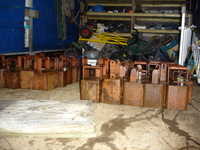 Reparation 2009