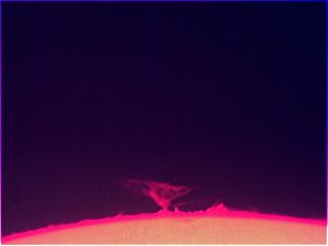 Sol