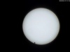 Venus